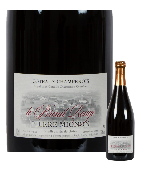 Coteaux Champenois Pierre Mignon