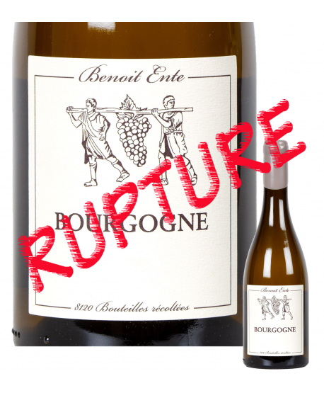 Bourgogne Chardonnay 2015 Benoit Ente