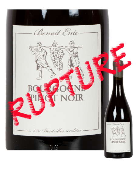 Pinot Noir Benoit Ente 2013